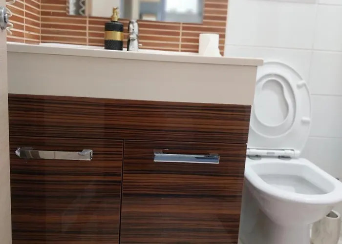 Liaemma * 布加勒斯特