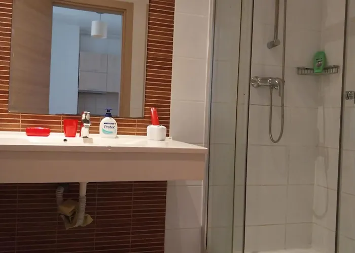 Liaemma * Бухарест